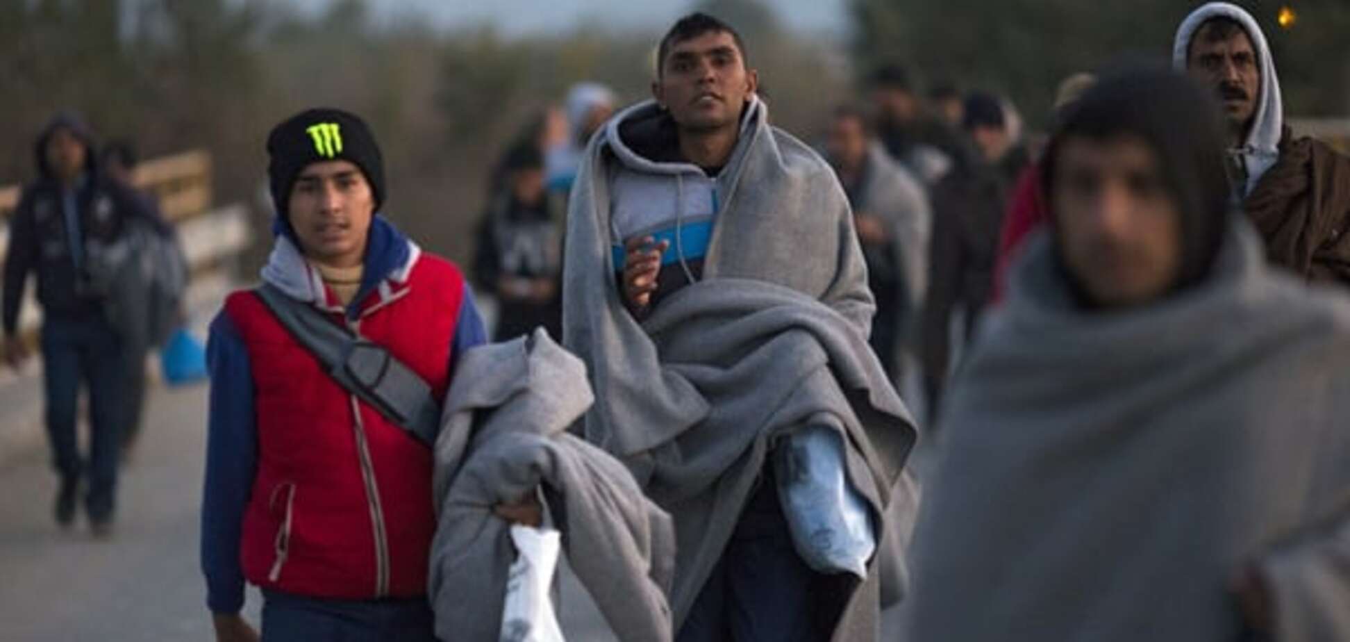 Финны поселили мигрантов-мусульман в центре свиноводства