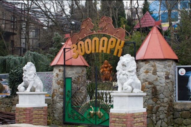 Обесточенный Крым: в зоопарках взрываются генераторы