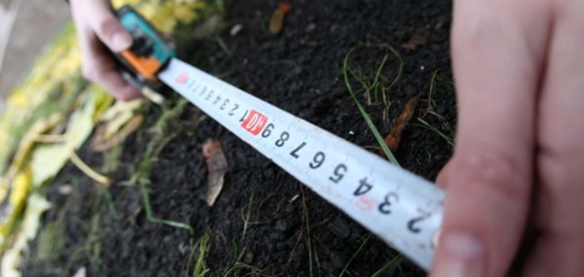 Дерибан землі триває: як прокурори ділять ділянки під Києвом