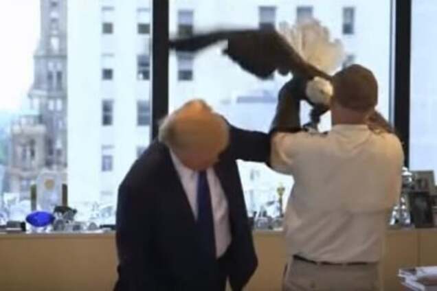 Смешно до слез: на Дональда Трампа напал орел. Видеофакт