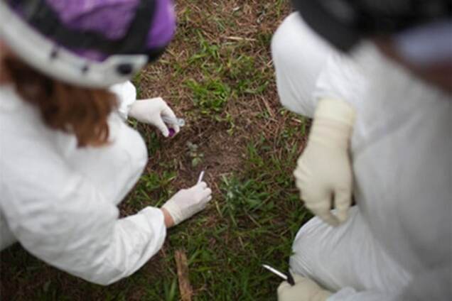 Открытие года: обнаружены микробные часы, определяющие время смерти