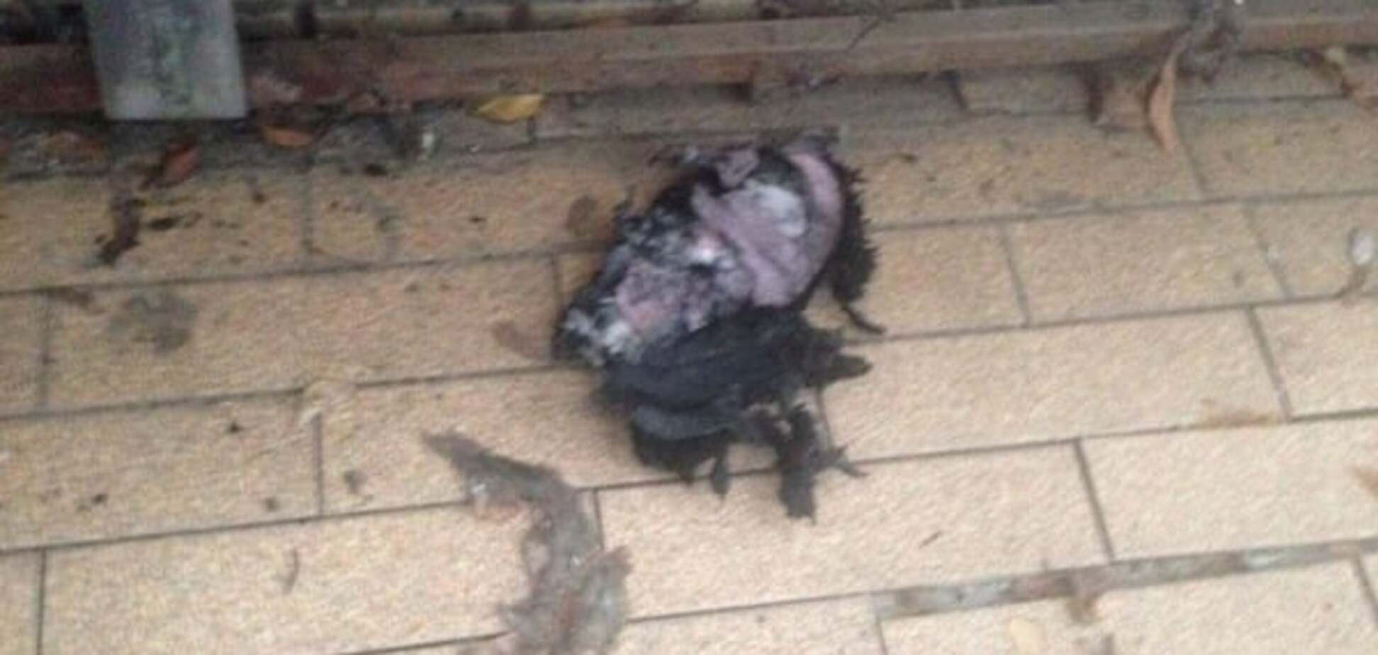 Взрыв в Харькове: опубликованы фото с места события