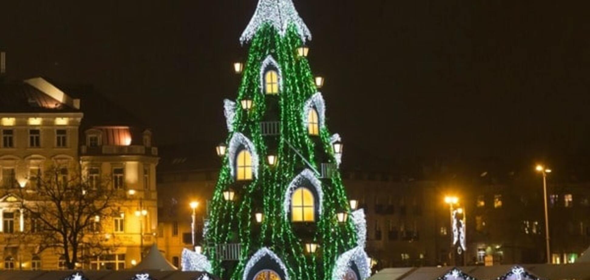 Вечнозеленые красавицы: топ-10 зрелищных новогодних елок мира