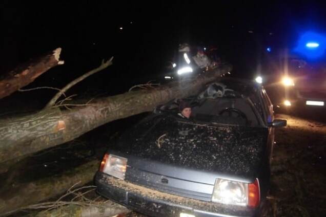 На Київщині дерево впало на автомобіль: троє постраждалих