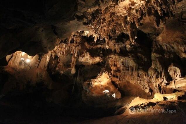 Клещи навели ученых на место появления 'Адама и Евы'