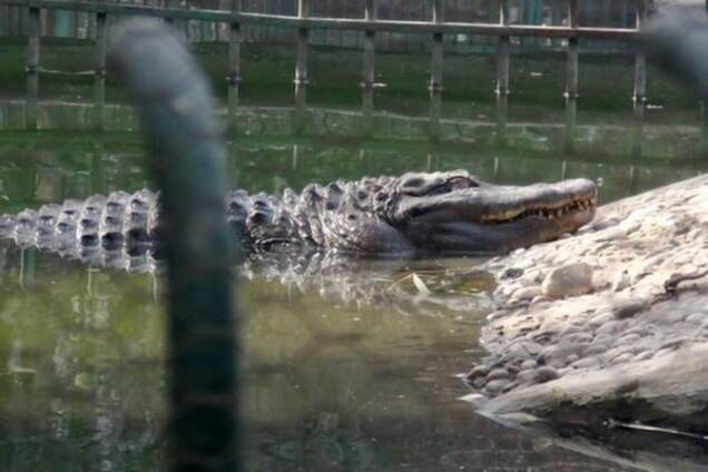 Нам уже все равно...