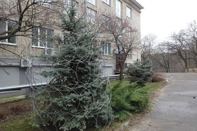 Гірлянди по-російськи: у Ростові оригінально 'прикрасили' ялинки - фотофакт