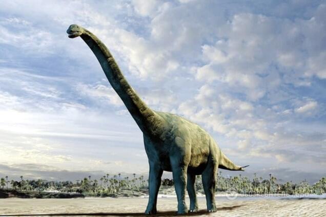 Вчені розкрили секрет виживання динозаврів у суворому кліматі