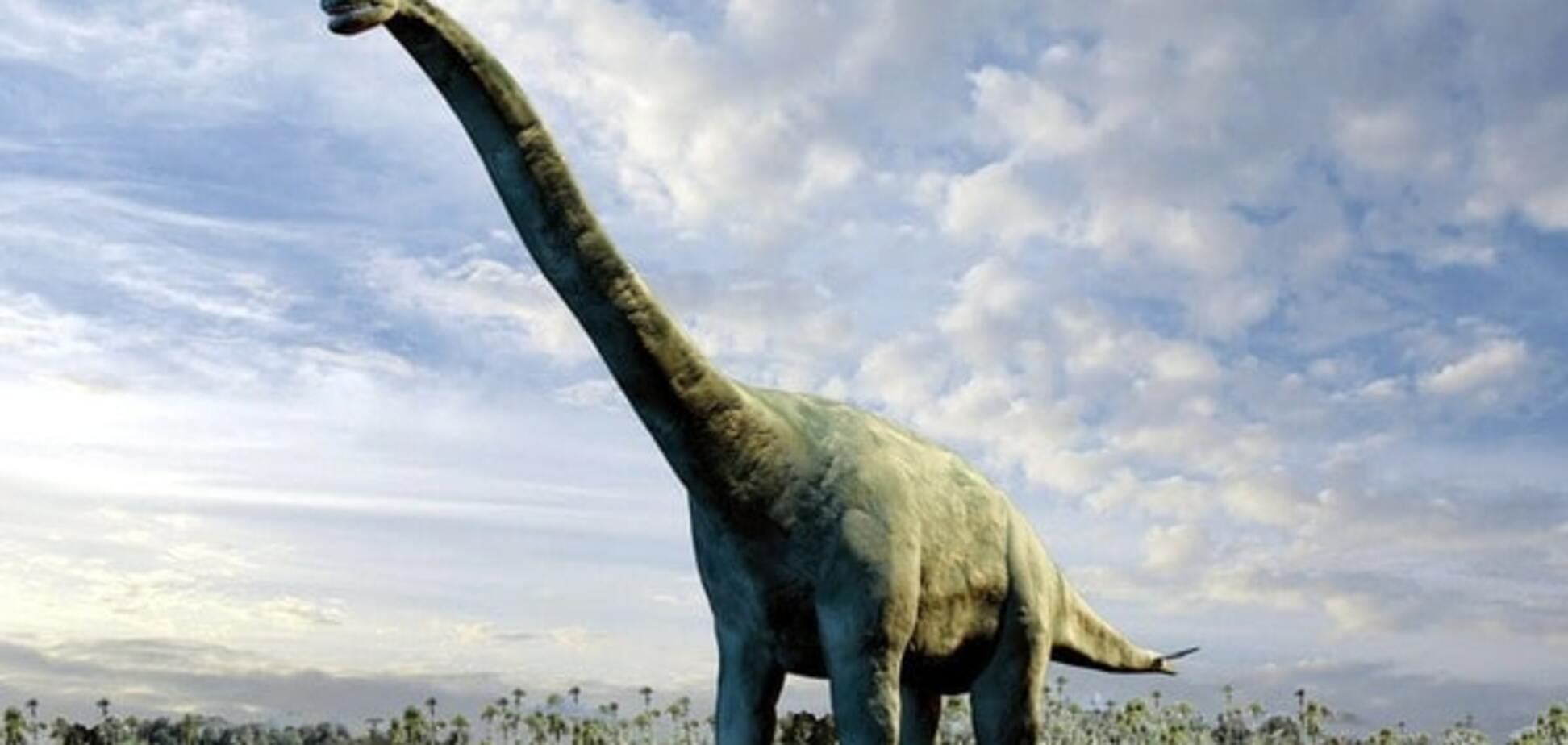 Ученые раскрыли секрет выживания динозавров в суровом климате