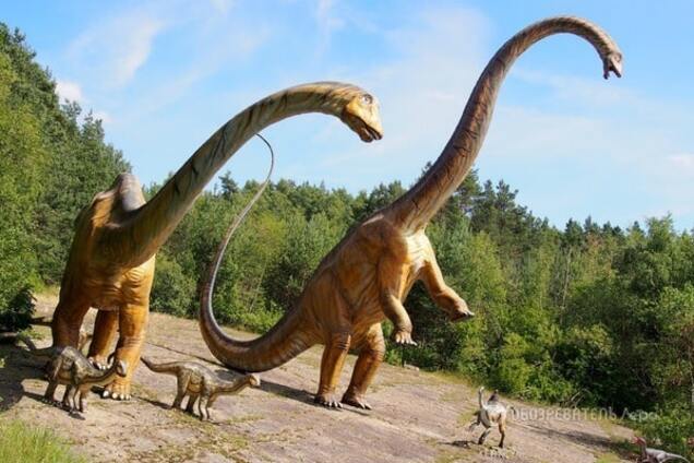 Вчені знайшли сучасних пернатих 'динозаврів'