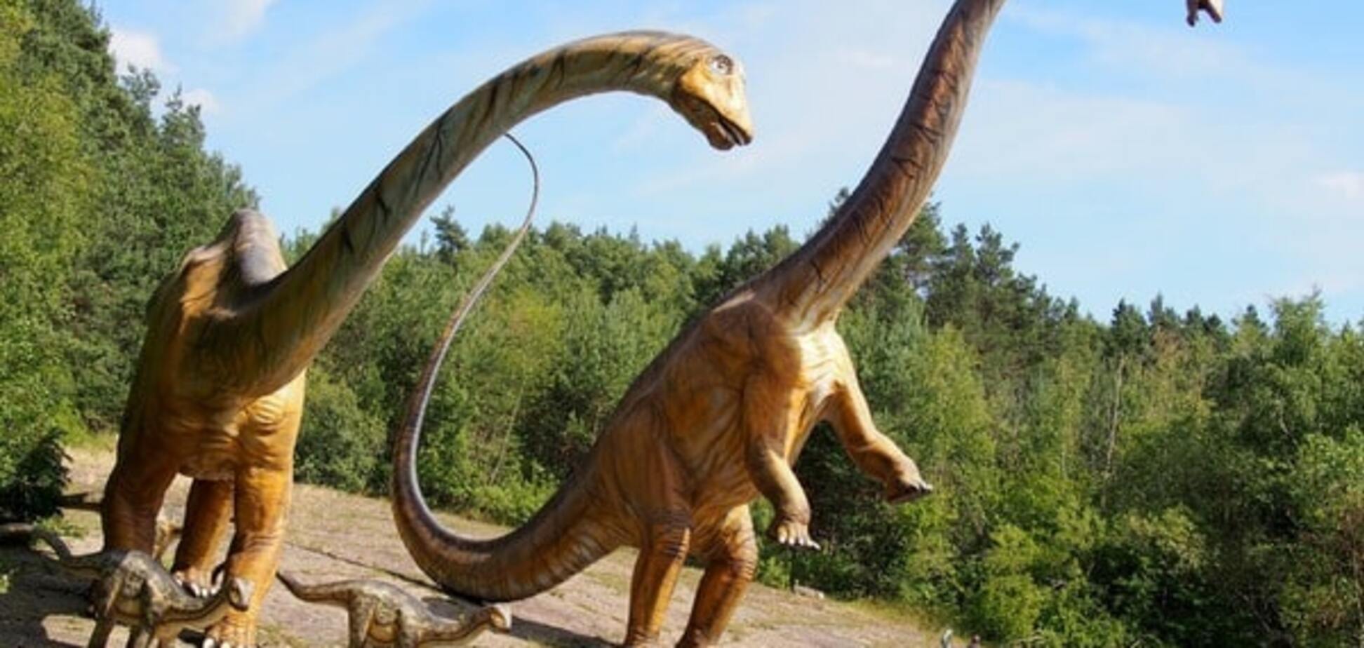 Ученые нашли современных пернатых 'динозавров'