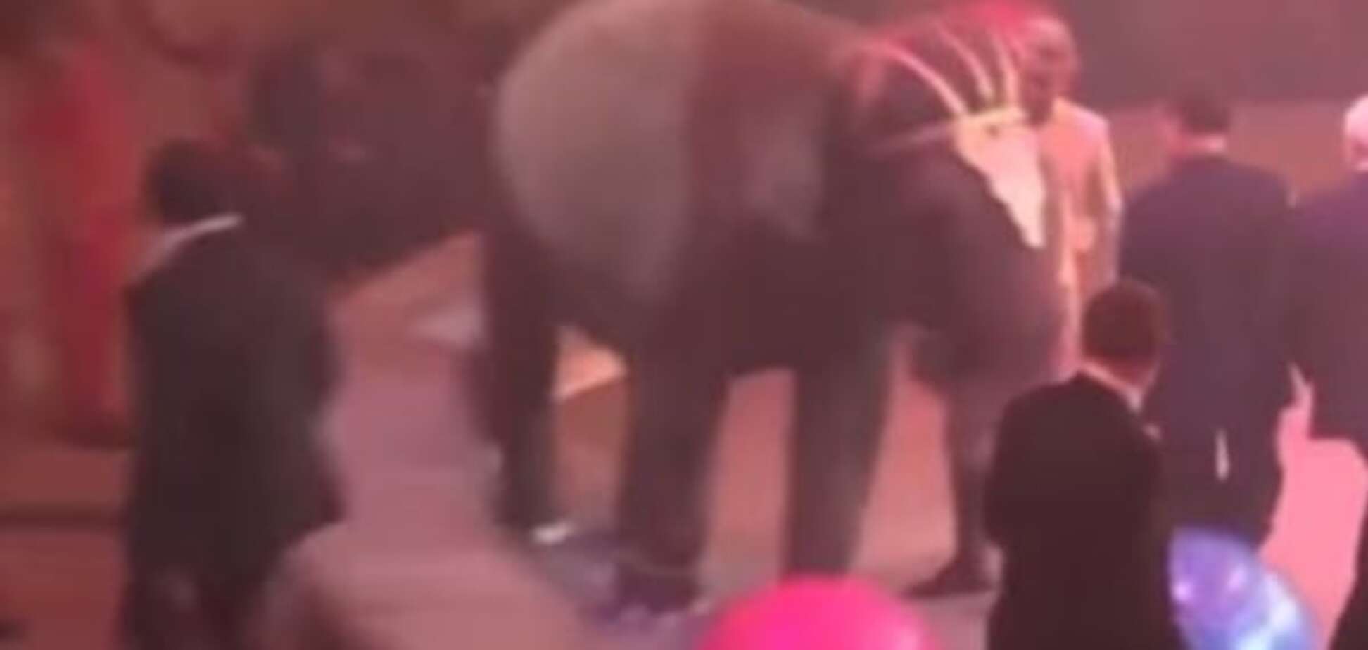 У петербурзькому цирку слон мало не розтоптав Кобзона. Опубліковано відео