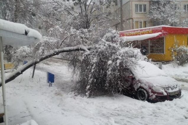 Буря в Харькове: снег принес 'конец света' и повалил 500 деревьев. Фото стихии