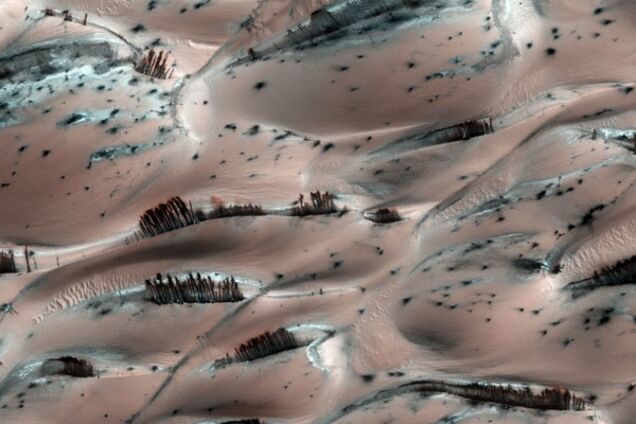 NASA обнаружило на Марсе 'деревья' на дюнах: фотофакт
