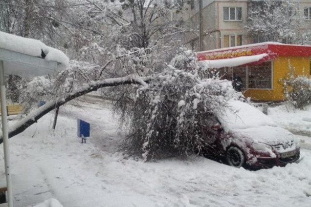 'Конец света' и другие неприятности: как Украина встретила ураганы и снегопад