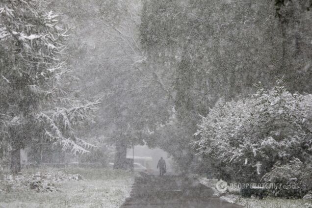 В Україні знеструмлено сотні населених пунктів через негоду