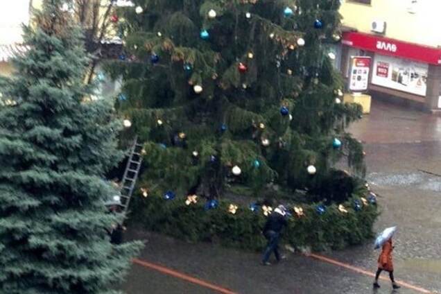 В Мукачево обокрали главную елку города: опубликованы фото