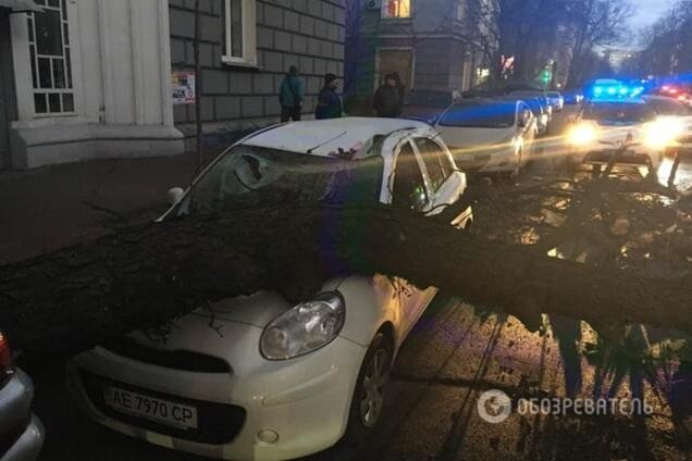 У центрі Києві дерево роздавило автомобіль: опубліковані фото