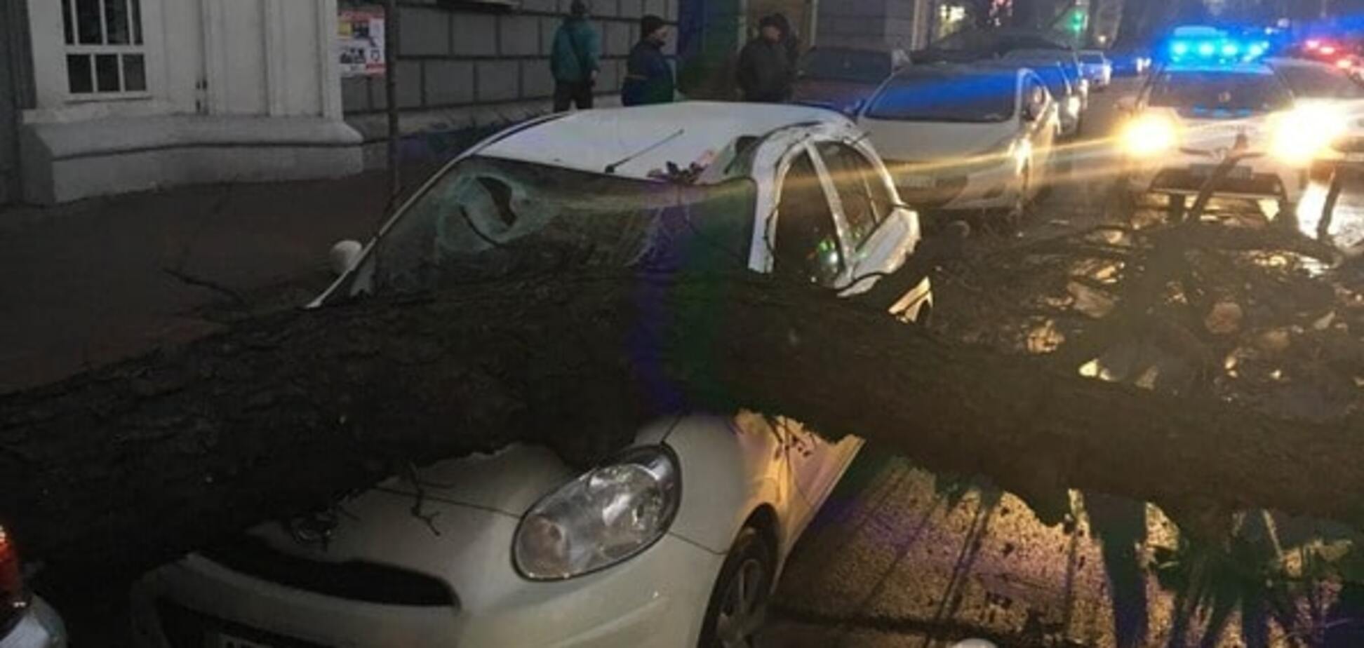 В центре Киева дерево раздавило автомобиль: опубликованы фото