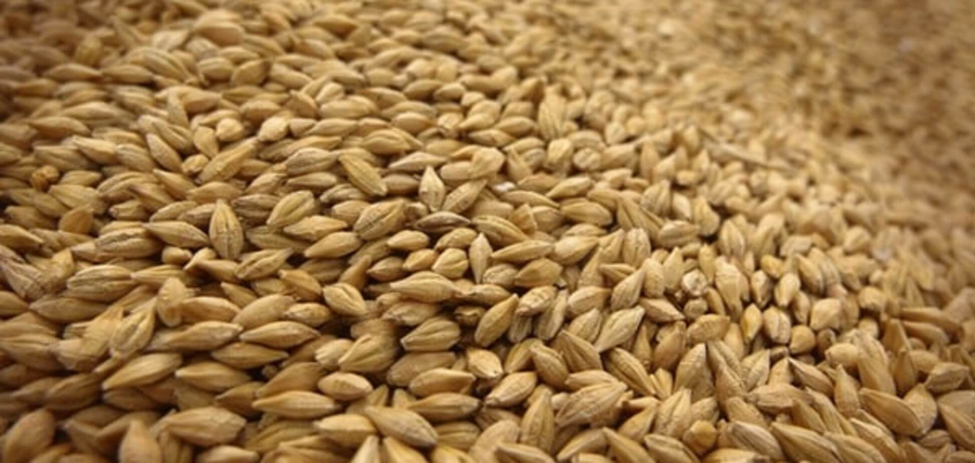 Аграрный фонд увеличил объемы закупок зерна на 2016 год