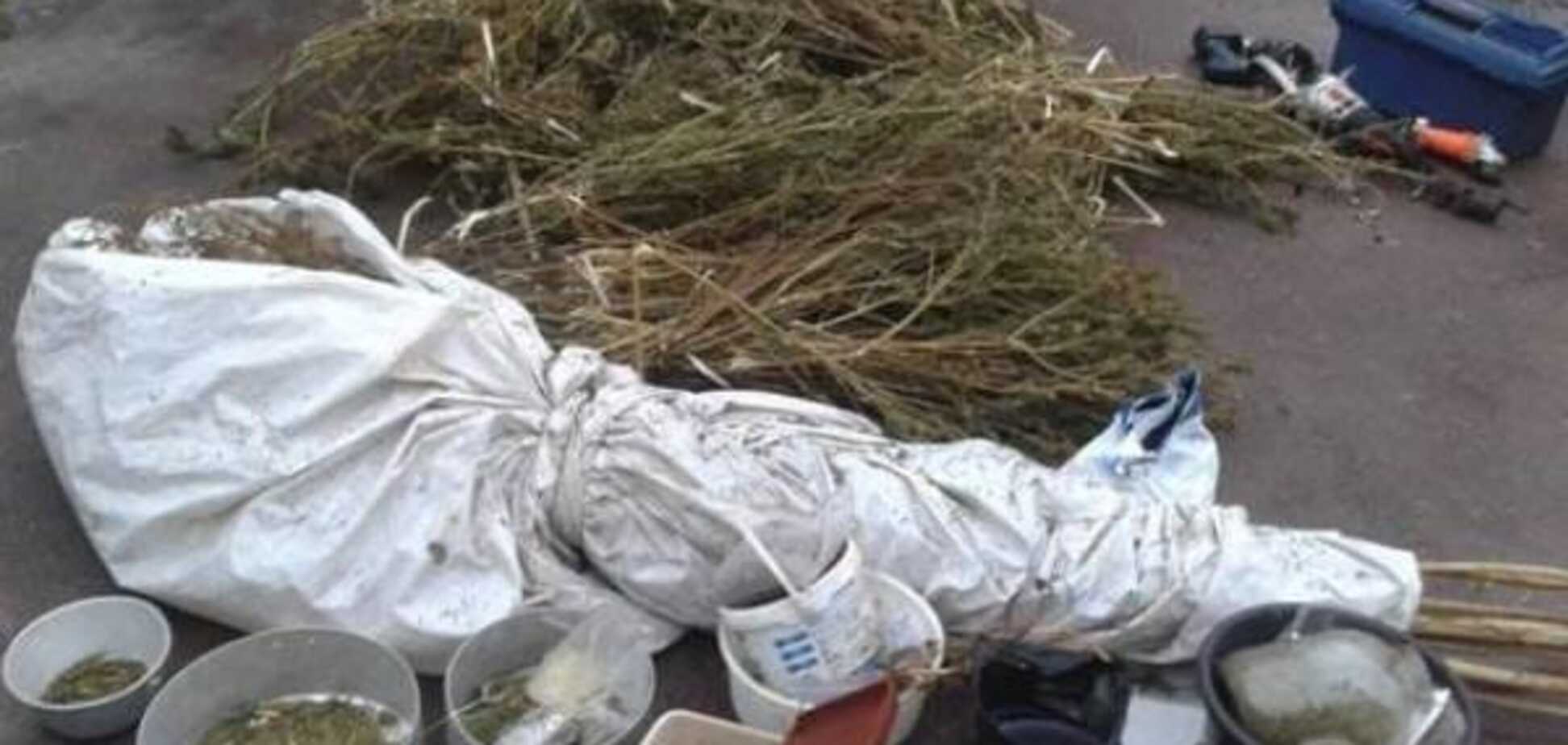 Боротьба з наркотиками: на Київщині поліція вилучила 'дурі' на 100 тис. грн