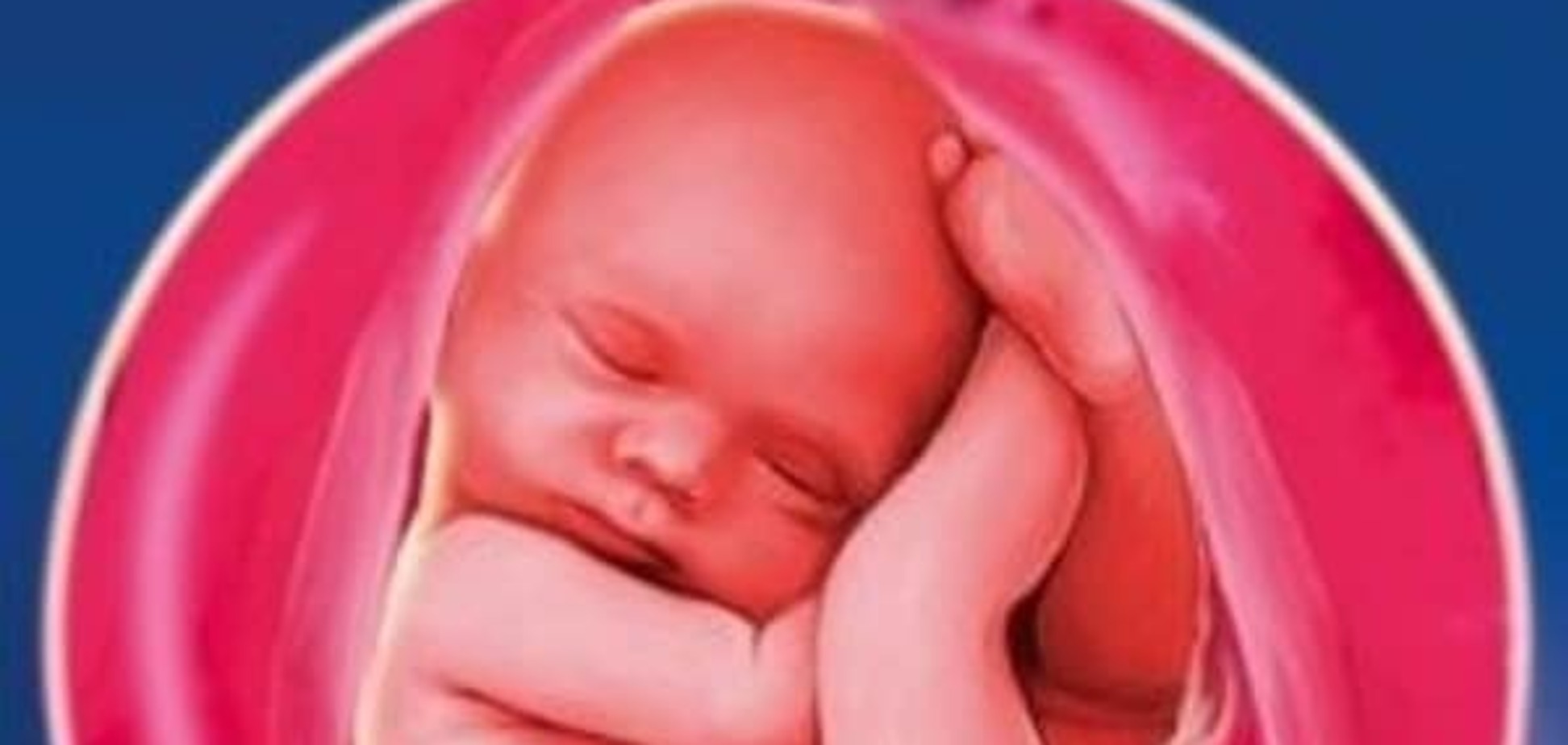 10 удивительных фактов о внутриутробной жизни малыша