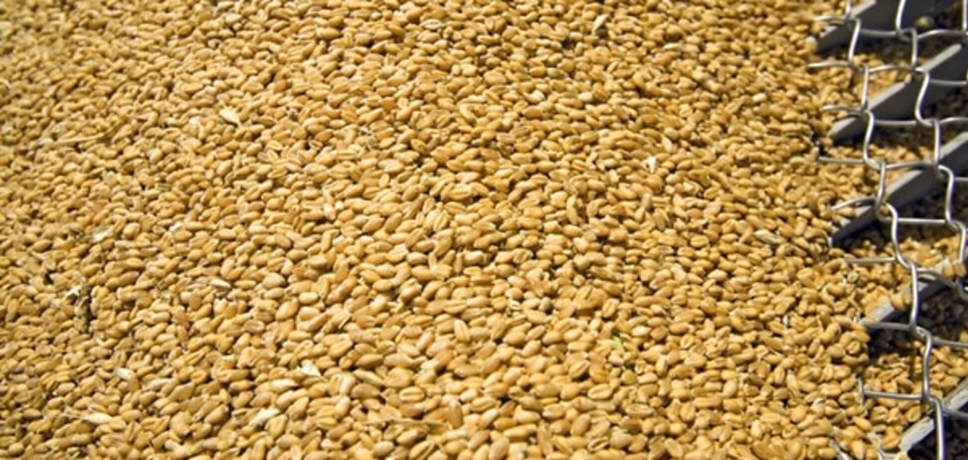 Нож в спине? Россия восстановила поставки зерна в Турцию