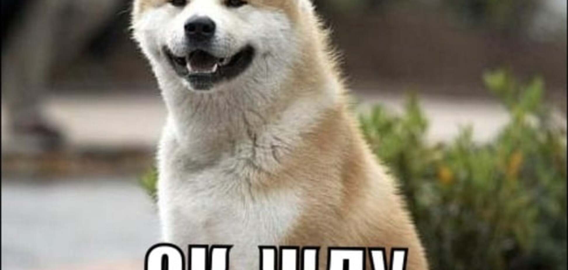 Аксенов размечтался, что крымчане будут ездить в Европу по российским паспортам