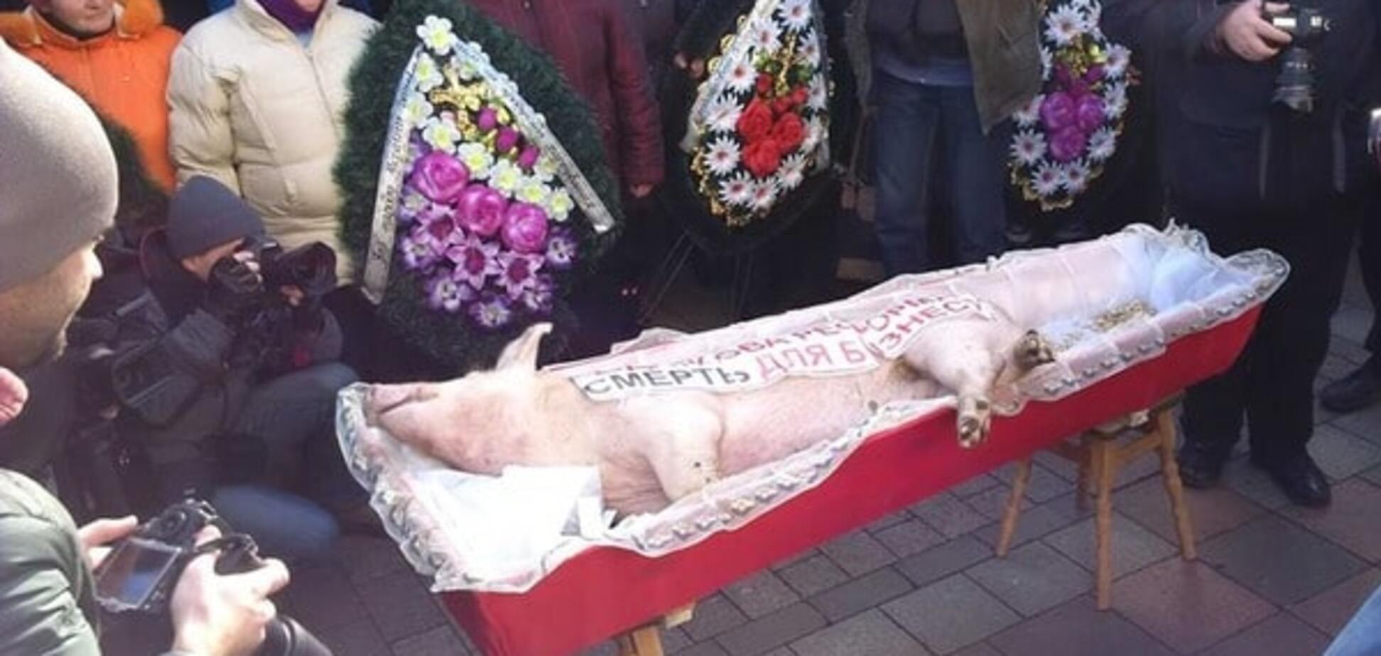 К Верховной Раде принесли свинью в гробу: фотофакт