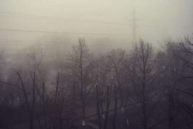 Разве это зима: синоптики говорят, что в Киеве продолжается уникальная осень