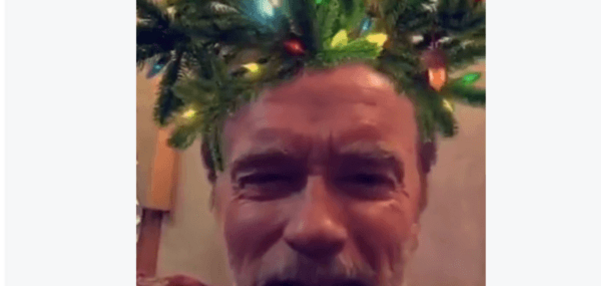 Шварценеггер оригинально поздравил американцев с Рождеством: видеофакт