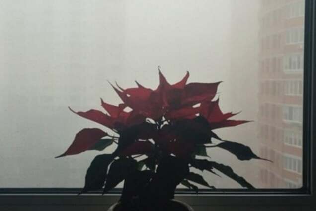 Киев исчез в густом тумане: фото из соцсетей