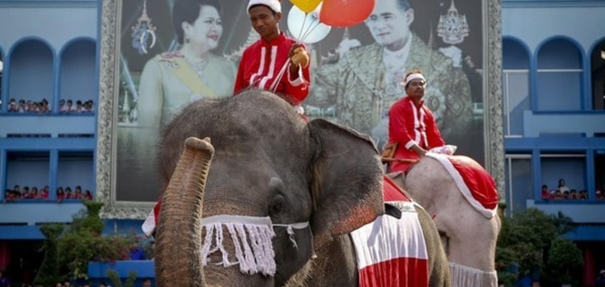 Ёлки, Санта и девушки в купальниках: как в мире отмечают Рождество