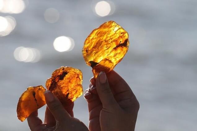 Янтарная мафия: СБУ поймала на сбыте помощника судьи и таможенника