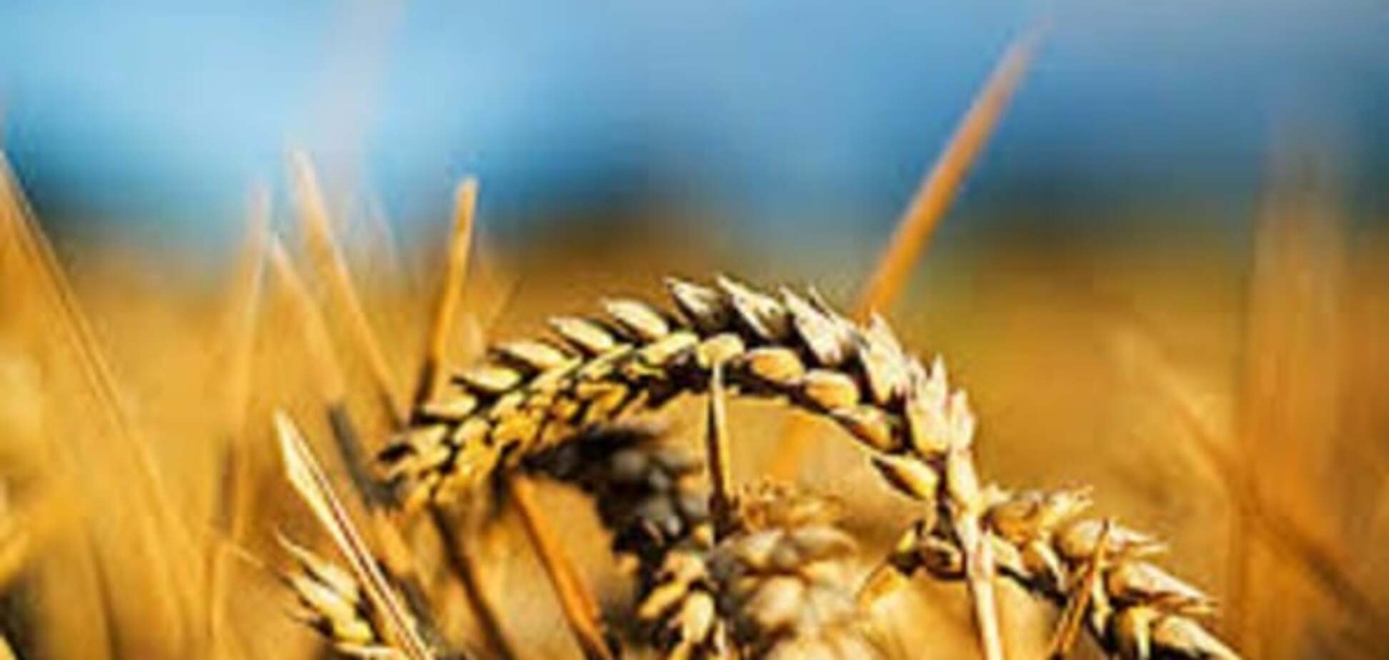 Украинские аграрии получат 400 млн евро от европейского банка