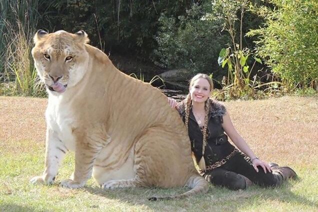 Удивительные гибридные животные, которые существуют на самом деле