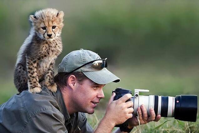 Опубликованы 30 фото дикой природы, показывающие лучшую работу в мире