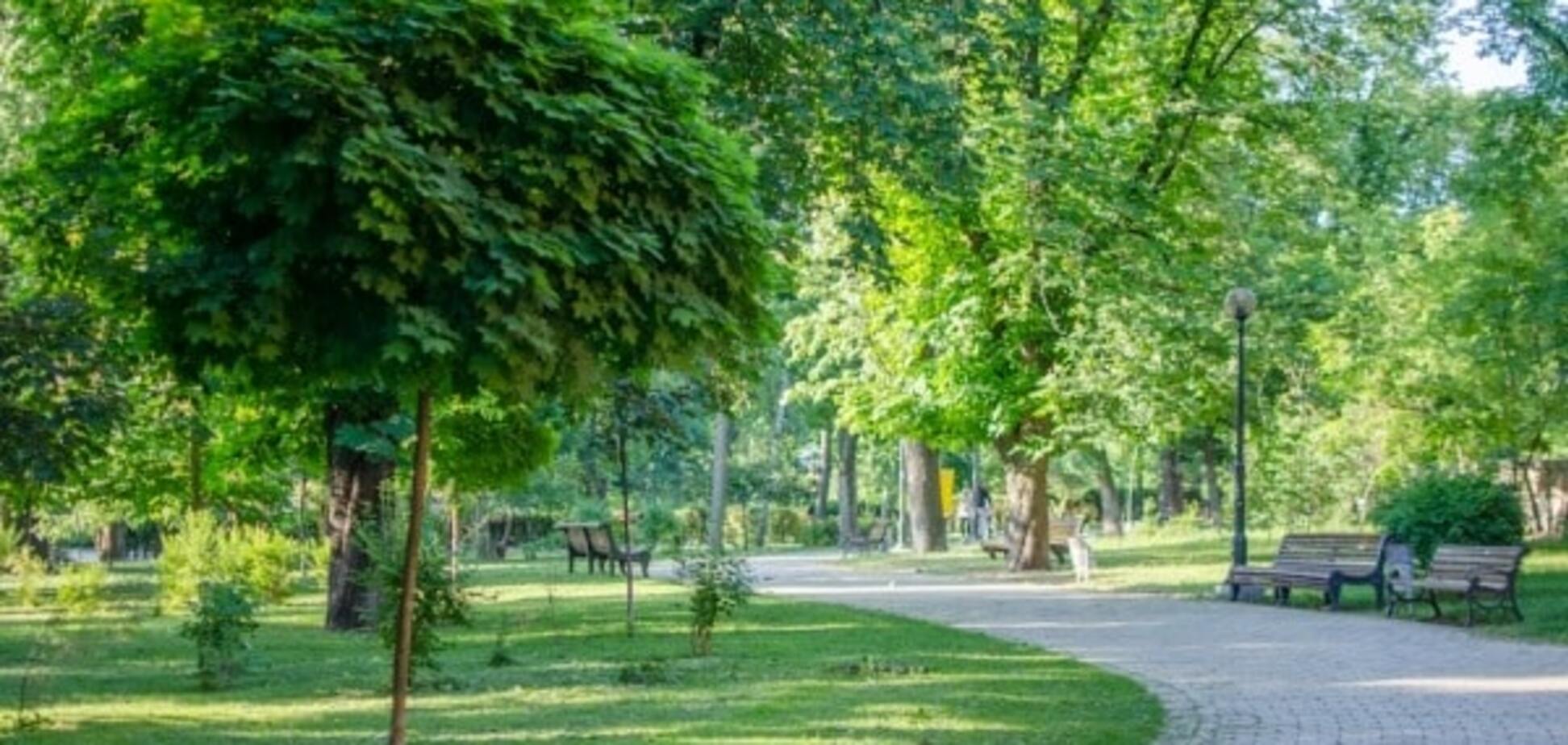 Киев зазеленеет: депутаты выделили новые территории для парка и скверов