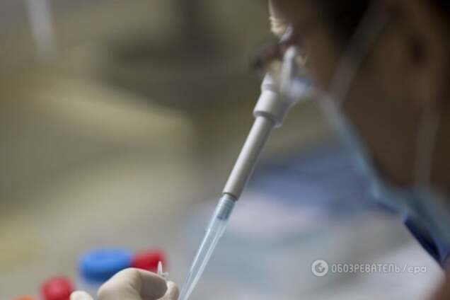 Ученые нашли предка всех живых организмов на Земле