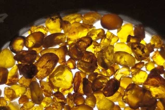 На Киевщине полиция задержала мужчин с партией янтаря