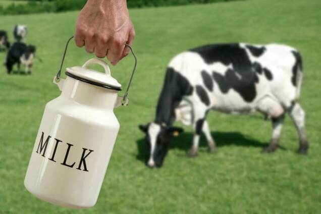 Минагрополитики: Украина сделала 'молочный прорыв' в Европу
