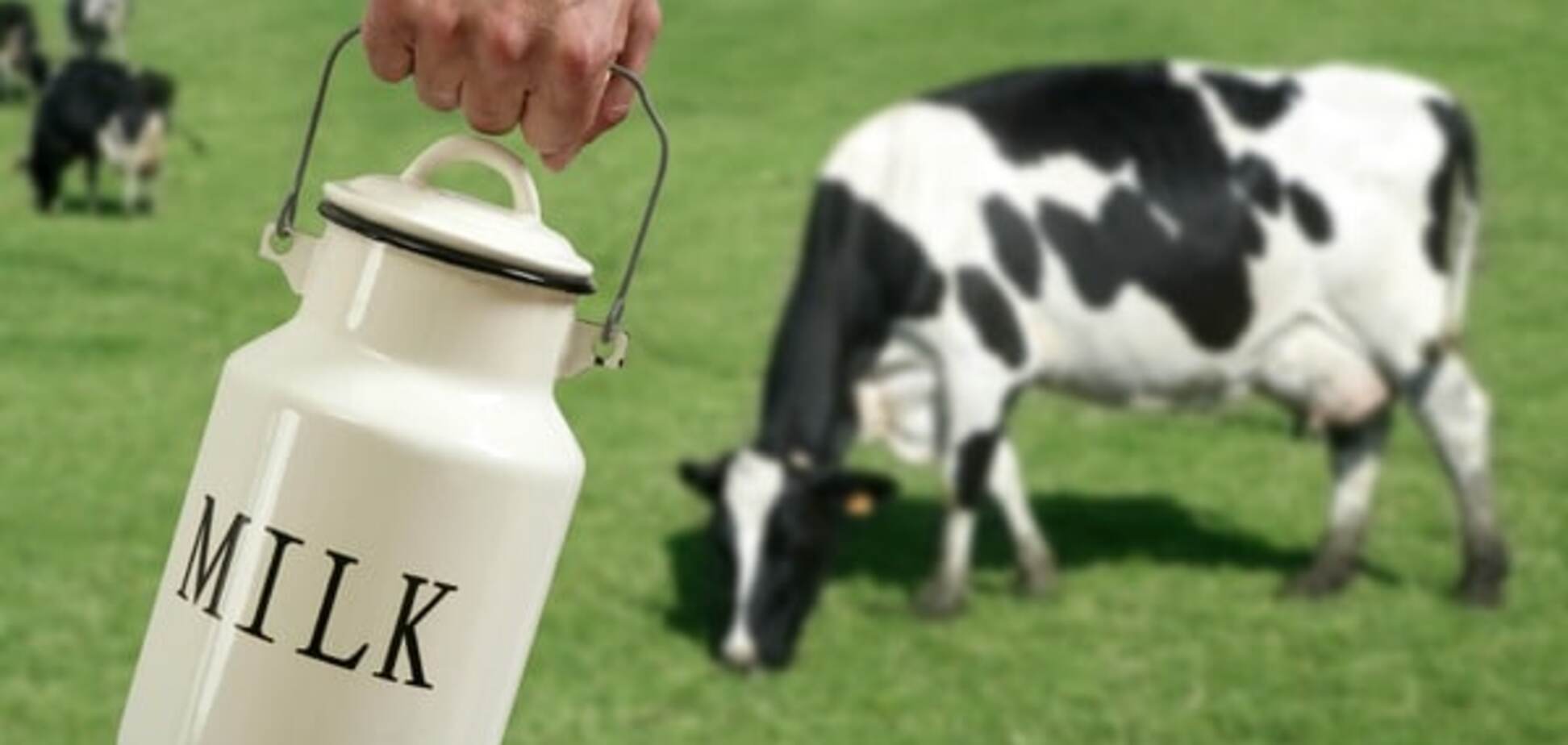 Мінагрополітики: Україна зробила 'молочний прорив' у Європу