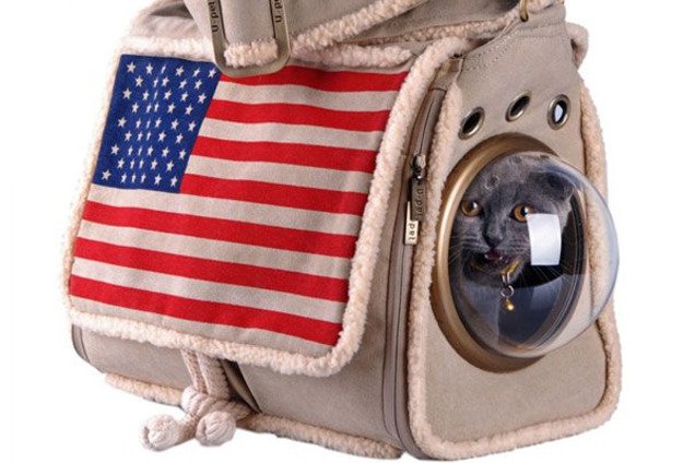 Которюкзак: уникальная сумка, позволяющая животному почувствовать себя в космосе