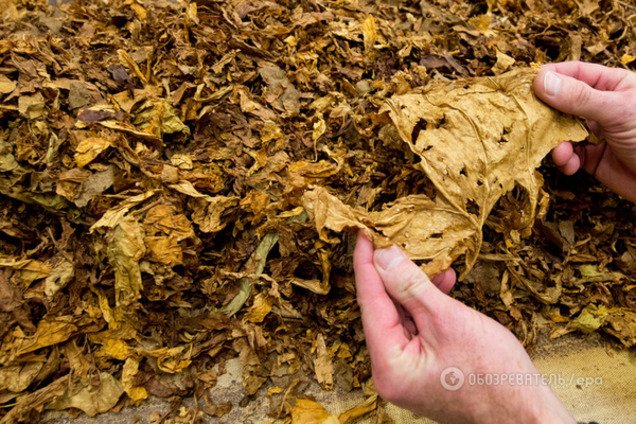 Дым отечества: за что табачников Украины лишат лицензий