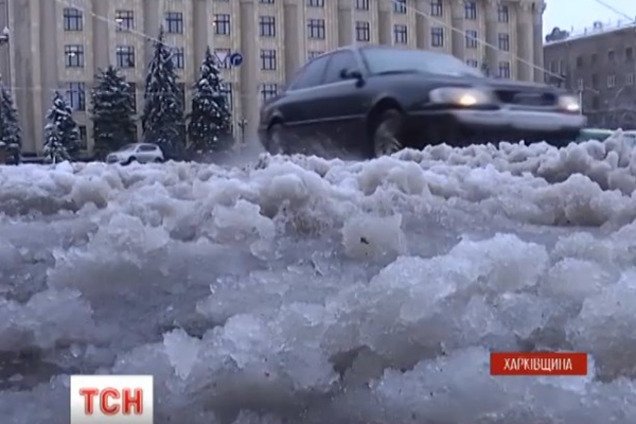 Непогода в Украине: поваленные деревья, ДТП и обесточенные населенные пункты