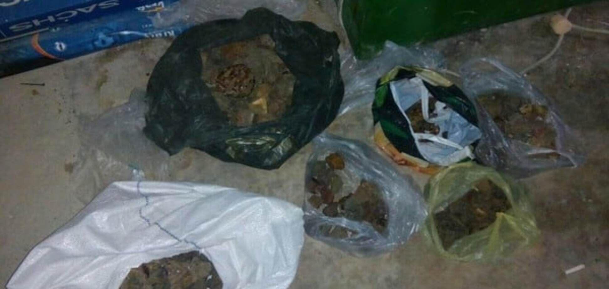 'Крыша' от СБУ: на Житомирщине раскрыли схему по 'черной' добыче янтаря