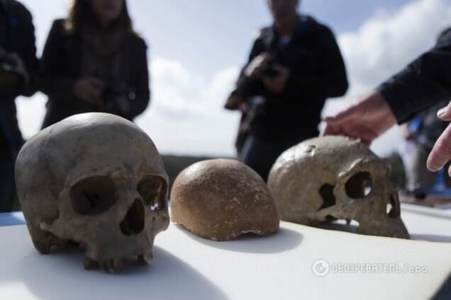 Ученые нашли горячую причину развития ума древнего человека