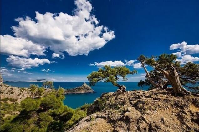 Не боги и не герои