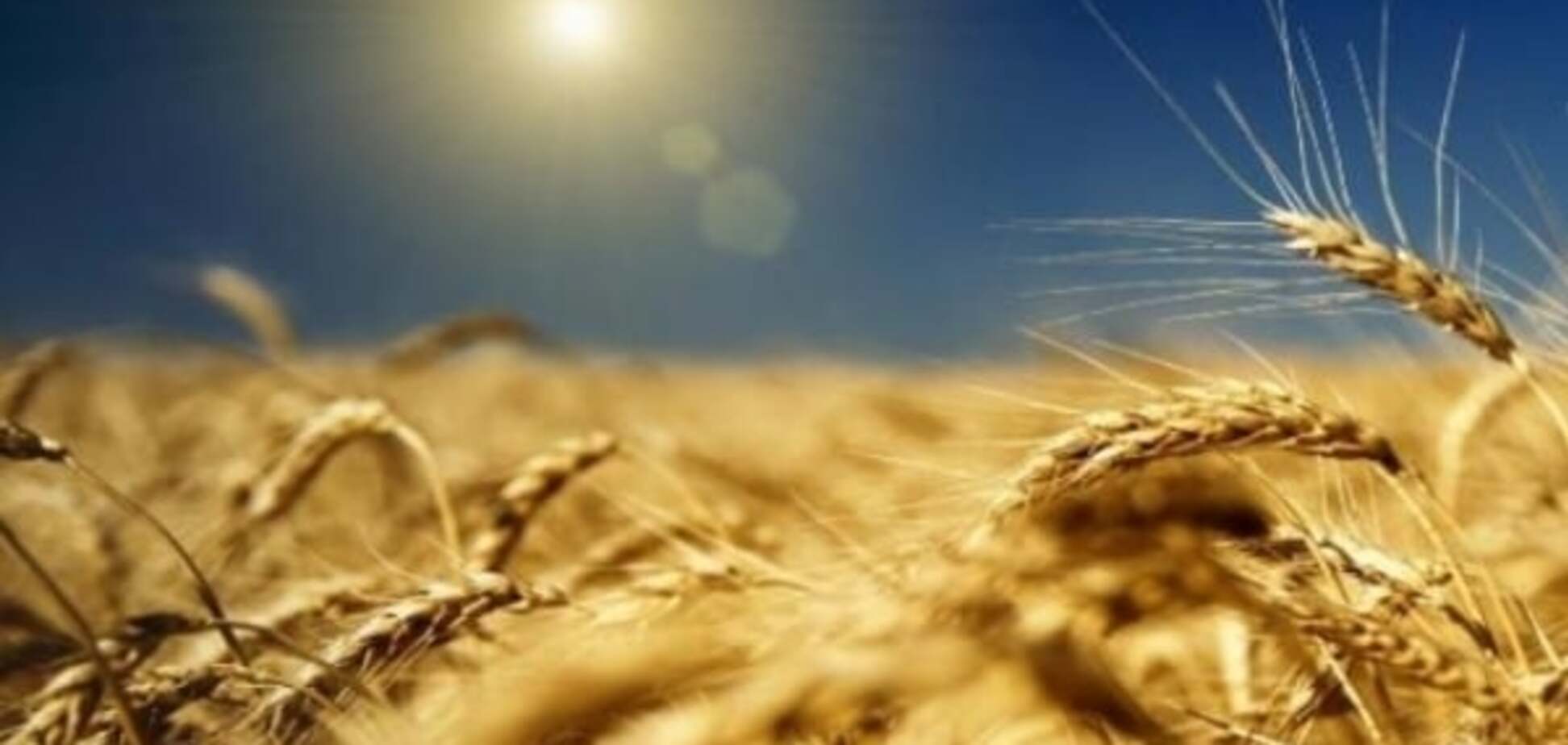 Украина вошла в ТОП-10 экспортеров продуктов в Евросоюз