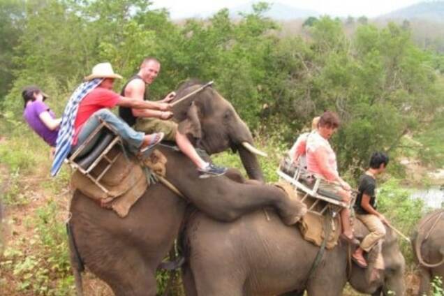 Альтернатива Турции: названы самые популярные у россиян новогодние направления